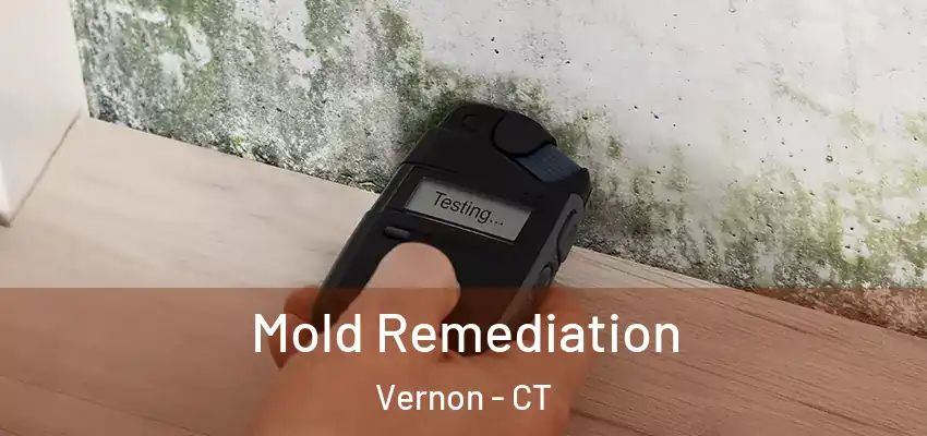 Mold Remediation Vernon - CT