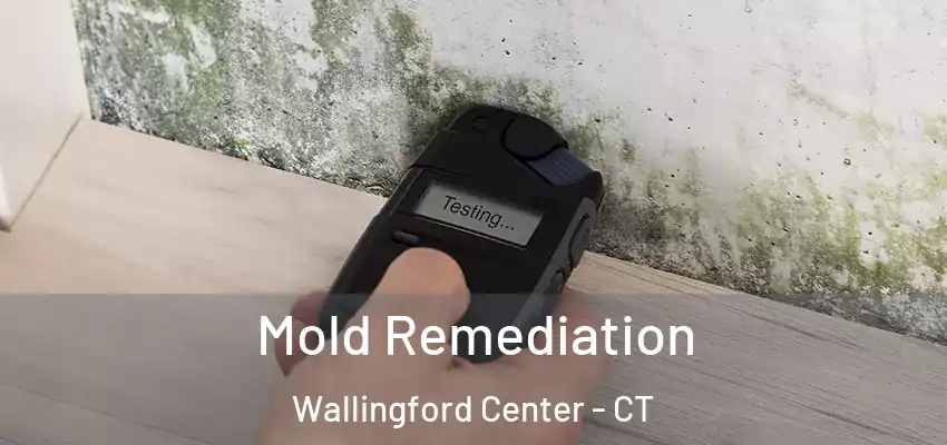  Mold Remediation Wallingford Center - CT