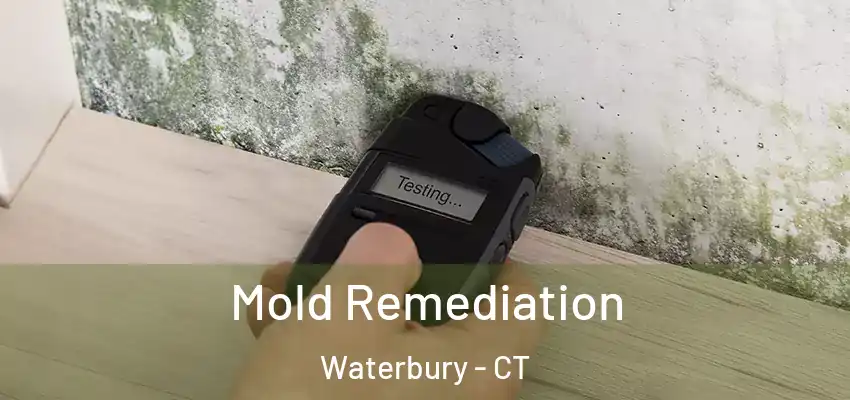 Mold Remediation Waterbury - CT