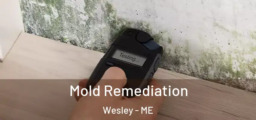 Mold Remediation Wesley - ME