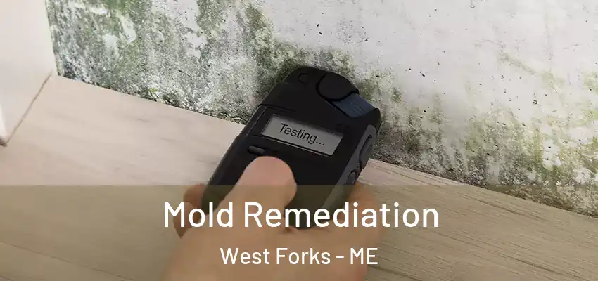 Mold Remediation West Forks - ME