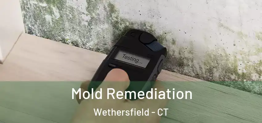  Mold Remediation Wethersfield - CT
