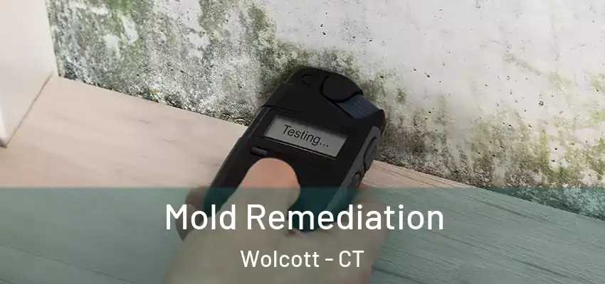 Mold Remediation Wolcott - CT