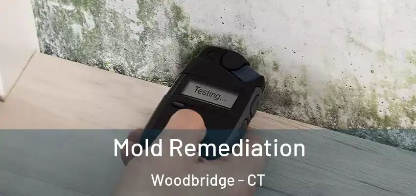  Mold Remediation Woodbridge - CT