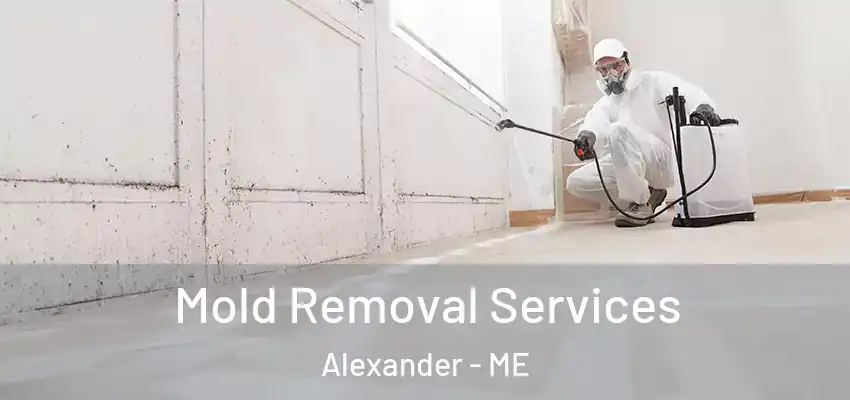  Mold Removal Services Alexander - ME