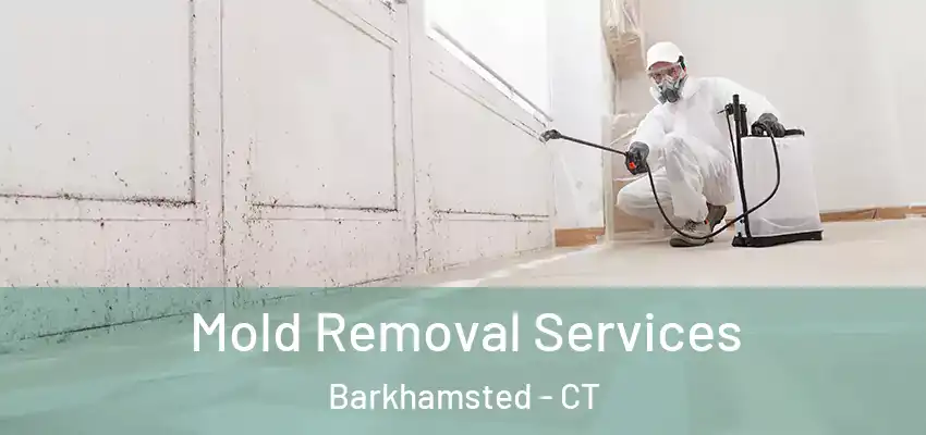  Mold Removal Services Barkhamsted - CT