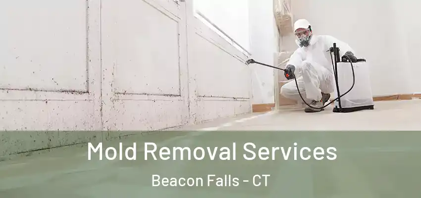  Mold Removal Services Beacon Falls - CT