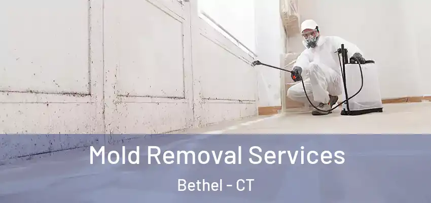 Mold Removal Services Bethel - CT
