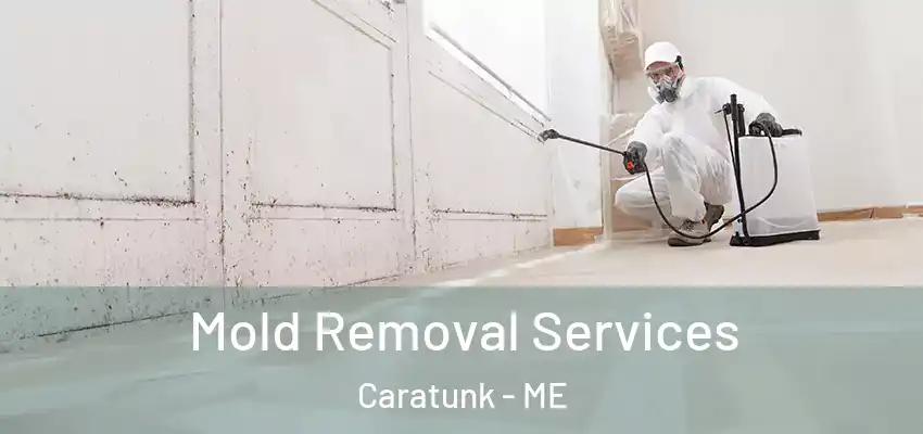  Mold Removal Services Caratunk - ME