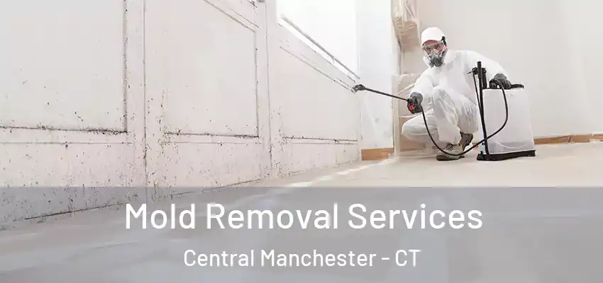 Mold Removal Services Central Manchester - CT
