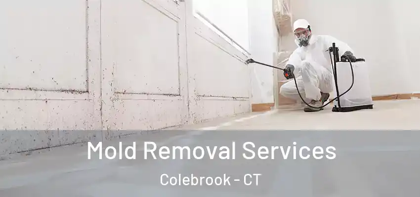 Mold Removal Services Colebrook - CT