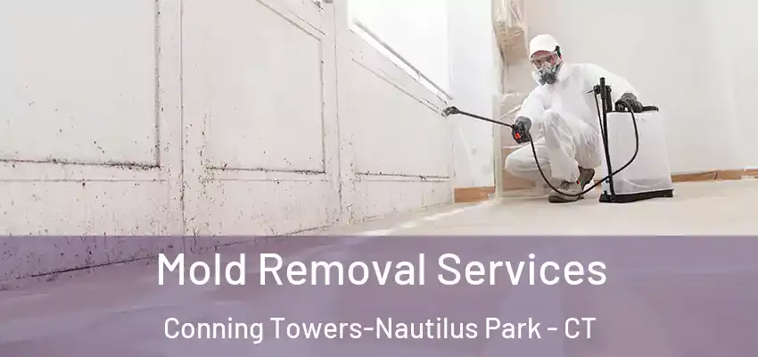  Mold Removal Services Conning Towers-Nautilus Park - CT