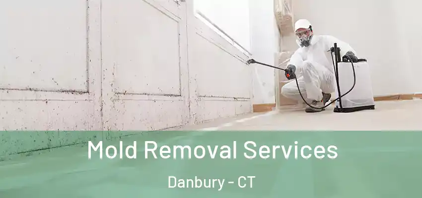  Mold Removal Services Danbury - CT