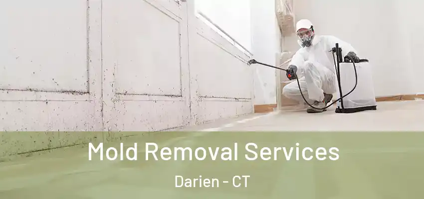 Mold Removal Services Darien - CT