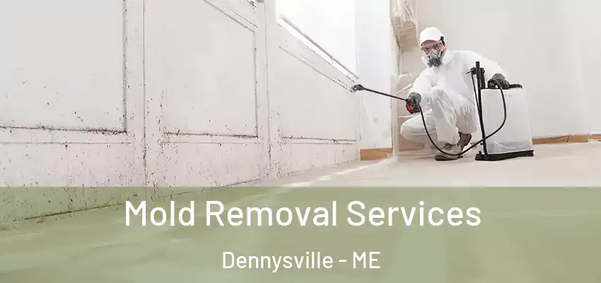  Mold Removal Services Dennysville - ME
