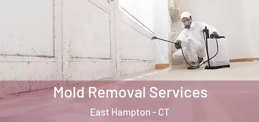  Mold Removal Services East Hampton - CT