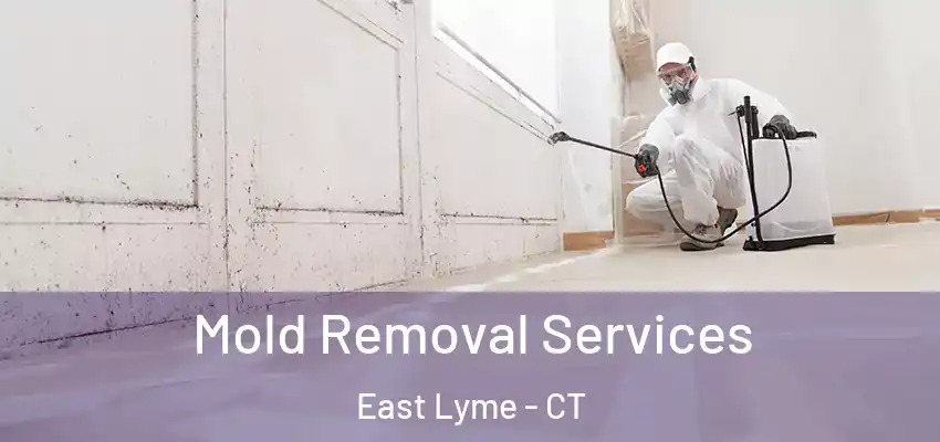  Mold Removal Services East Lyme - CT