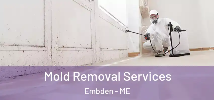 Mold Removal Services Embden - ME