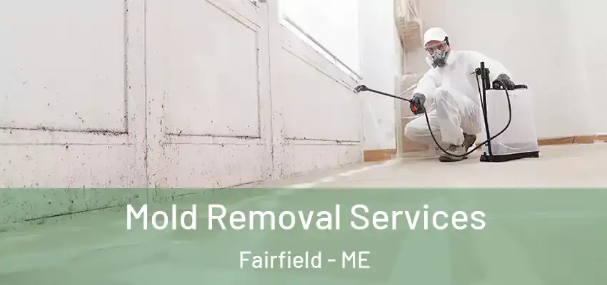 Mold Removal Services Fairfield - ME