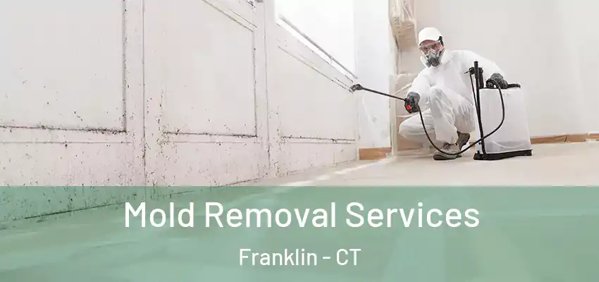 Mold Removal Services Franklin - CT