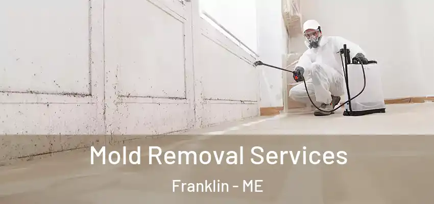 Mold Removal Services Franklin - ME