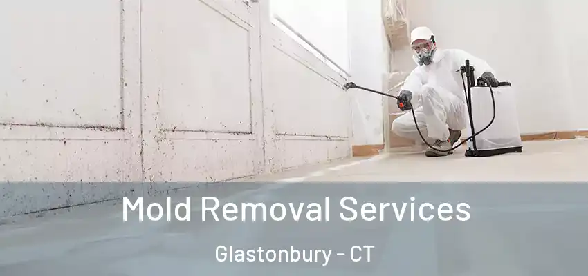 Mold Removal Services Glastonbury - CT