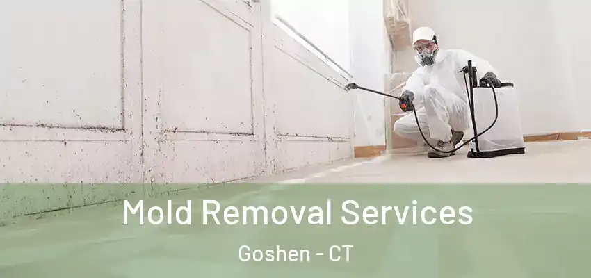  Mold Removal Services Goshen - CT