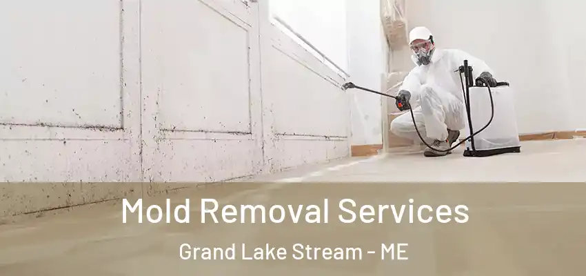 Mold Removal Services Grand Lake Stream - ME