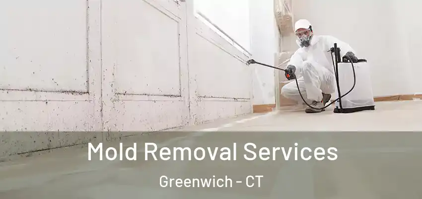 Mold Removal Services Greenwich - CT