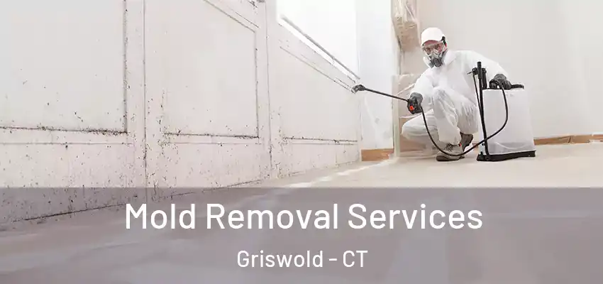 Mold Removal Services Griswold - CT