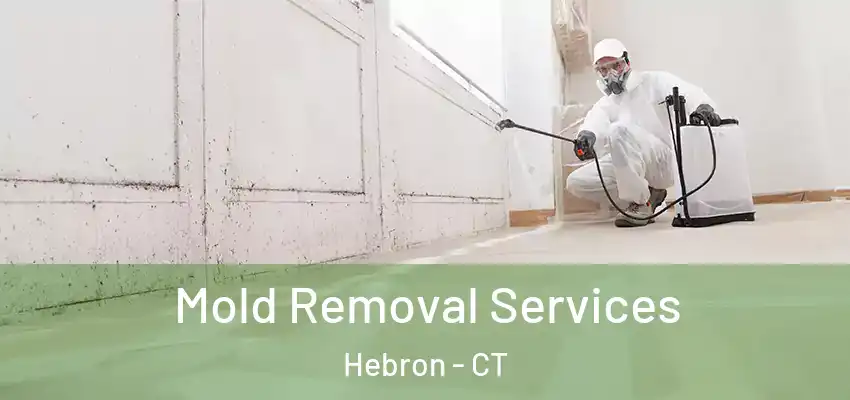 Mold Removal Services Hebron - CT