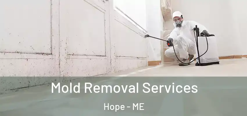 Mold Removal Services Hope - ME