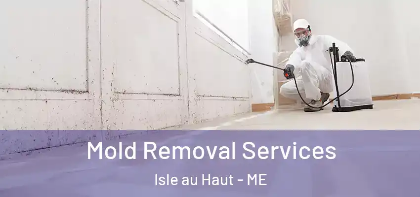 Mold Removal Services Isle au Haut - ME