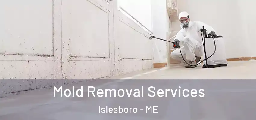 Mold Removal Services Islesboro - ME