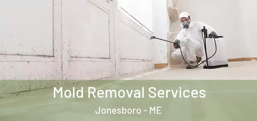  Mold Removal Services Jonesboro - ME