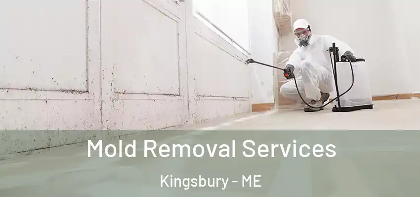  Mold Removal Services Kingsbury - ME