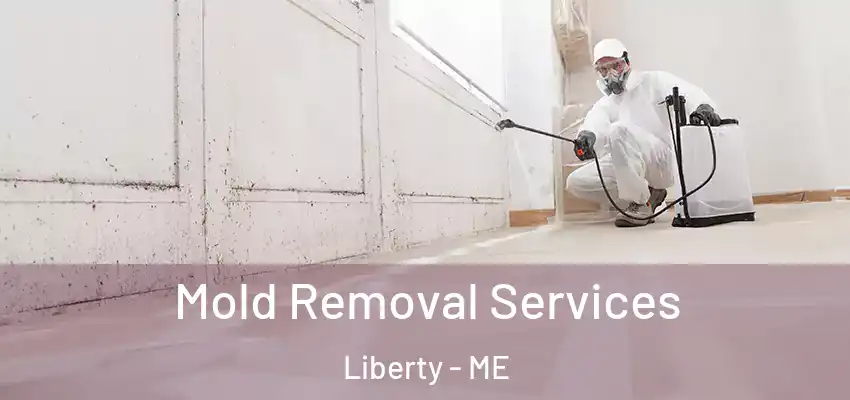 Mold Removal Services Liberty - ME