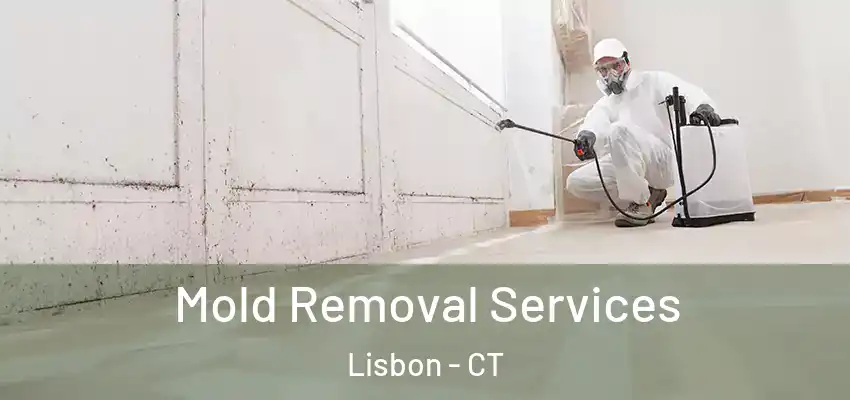 Mold Removal Services Lisbon - CT