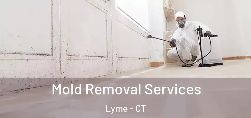 Mold Removal Services Lyme - CT