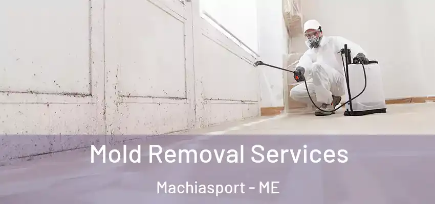 Mold Removal Services Machiasport - ME