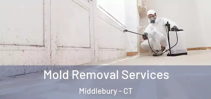 Mold Removal Services Middlebury - CT