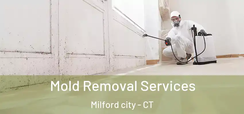 Mold Removal Services Milford city - CT