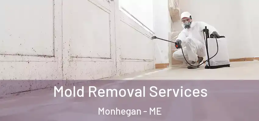 Mold Removal Services Monhegan - ME