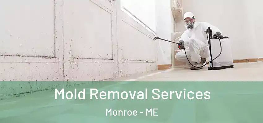 Mold Removal Services Monroe - ME