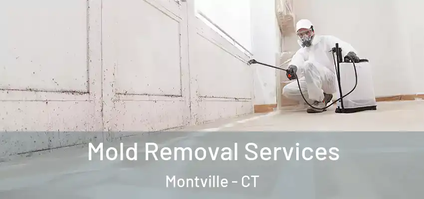 Mold Removal Services Montville - CT