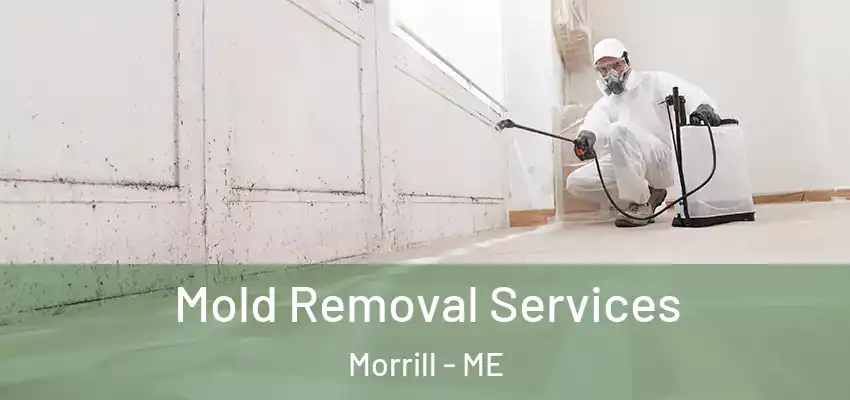 Mold Removal Services Morrill - ME