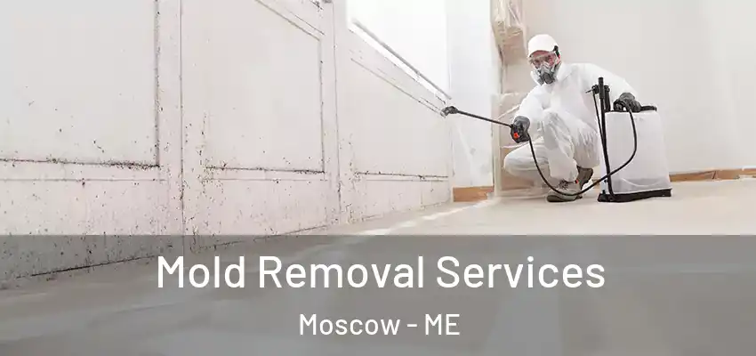 Mold Removal Services Moscow - ME