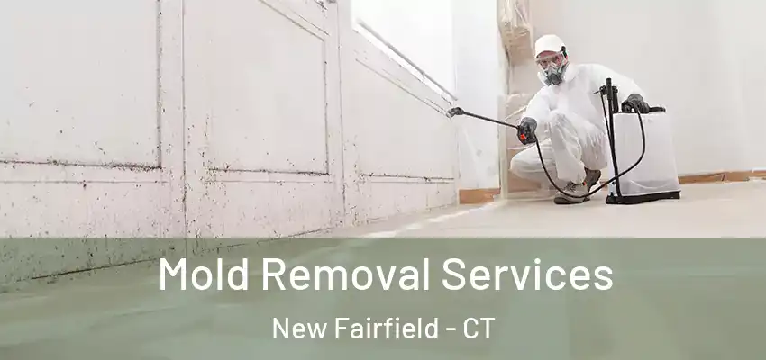 Mold Removal Services New Fairfield - CT