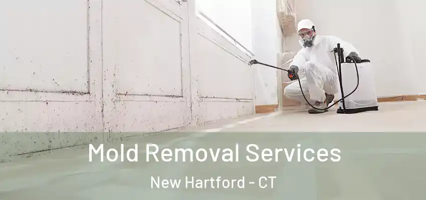  Mold Removal Services New Hartford - CT