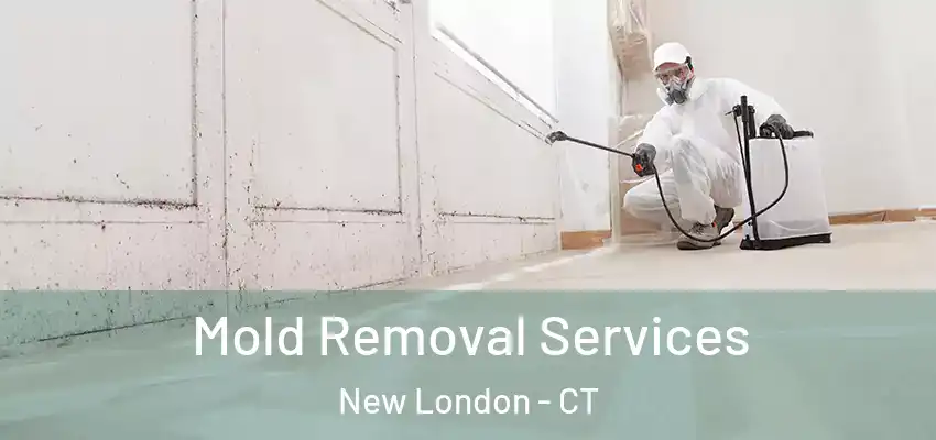  Mold Removal Services New London - CT
